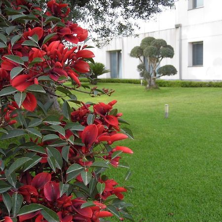 Fiore Dell'Etna Apartamento Santa Venerina Exterior foto